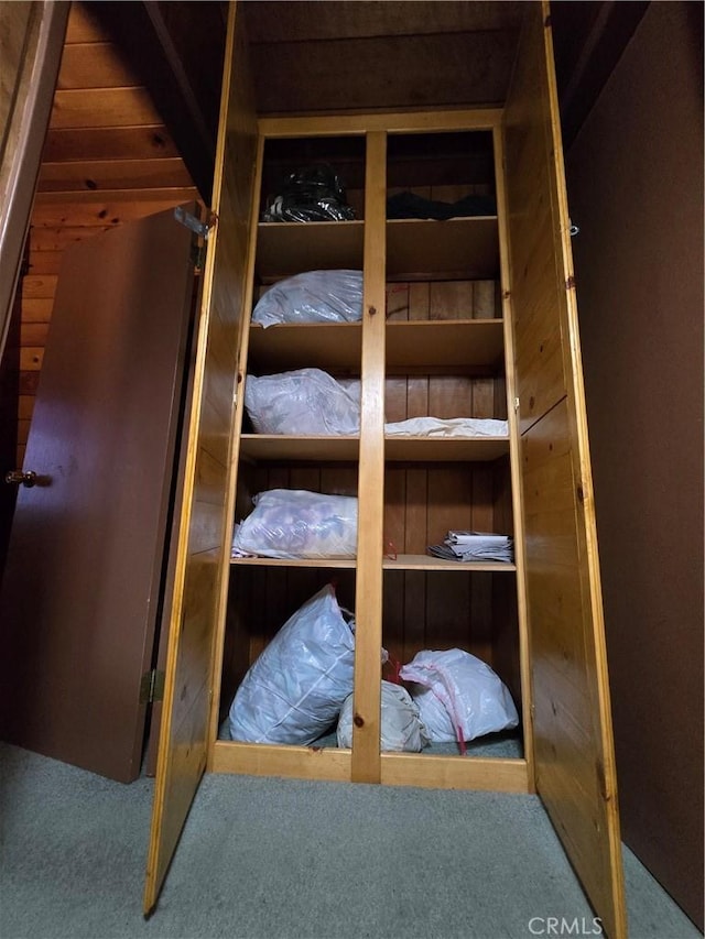 33337 Holcomb Creek Dr, Green Valley Lake, CA 92341 - view of closet