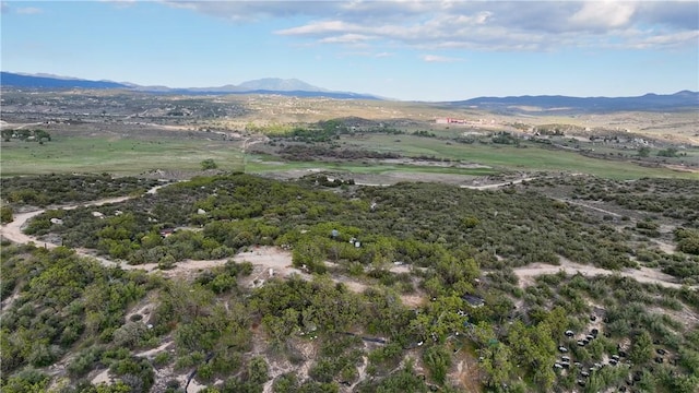 4 Indian Rd, Anza, CA 92539 - photo 12
