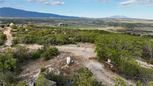 4 Indian Rd, Anza, CA 92539 - photo 6