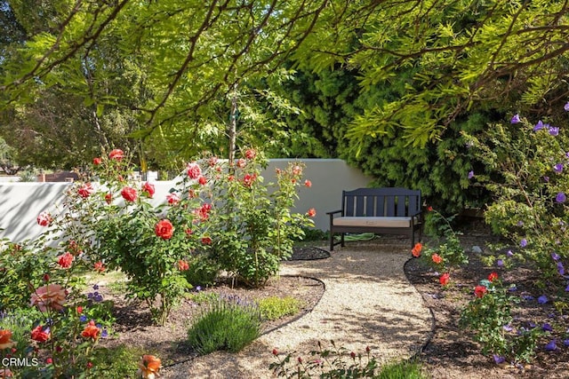 10971 Alto Ct, Oak View, CA 93022 - view of yard featuring fence