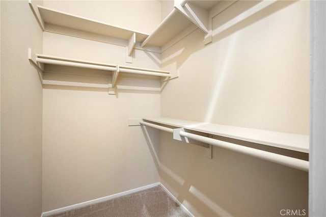777 S Citrus Ave Unit 266, Azusa, CA 91702 - walk in closet featuring carpet