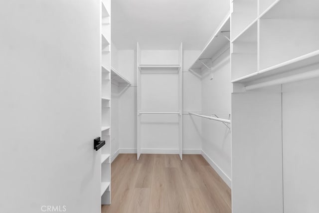 spacious closet with light wood-style flooring