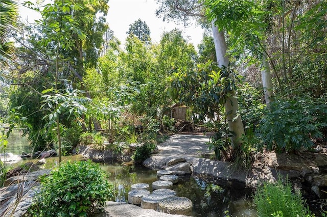 2315 Heather Ln, Newport Beach, CA 92660 - view of nature featuring a small pond