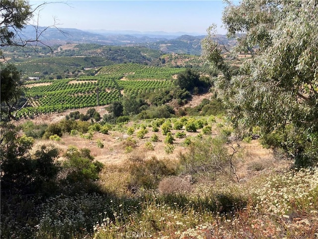 37 El Calamar Rd, Temecula, CA 92590