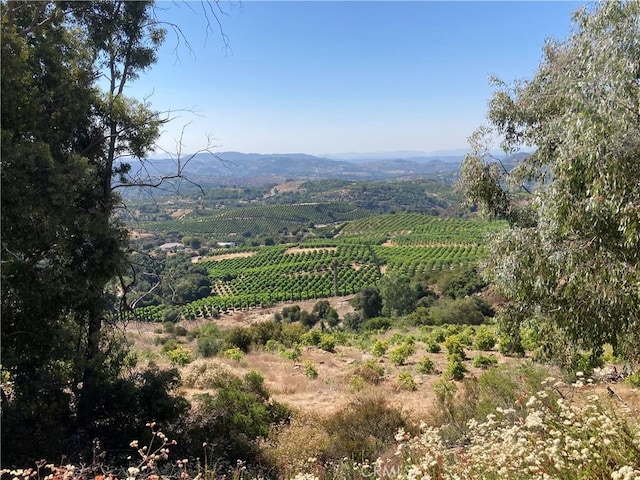 37 El Calamar Rd, Temecula, CA 92590