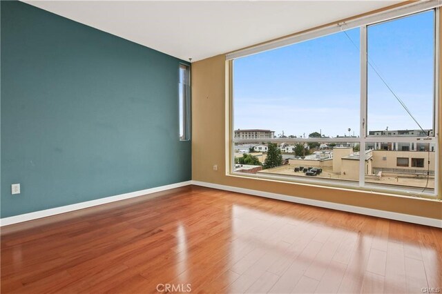 spare room featuring healthy amount of natural light, baseboards, and wood finished floors
