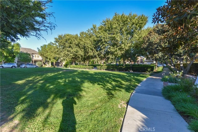 80 Great Lawn, Irvine, CA 92620 - view of grassy yard