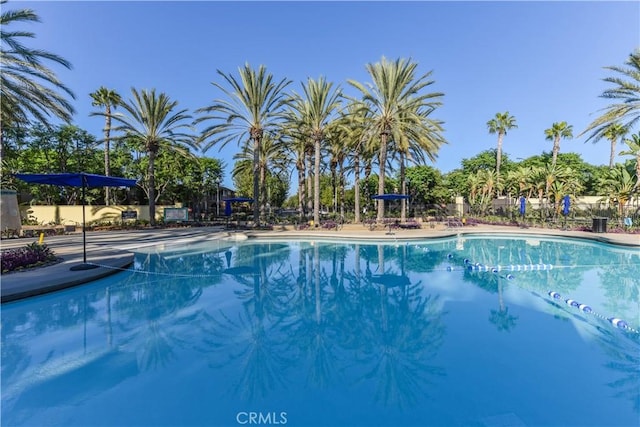 80 Great Lawn, Irvine, CA 92620 - community pool with fence