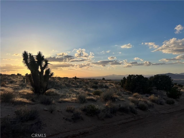 3 Ocotillo, Apple Valley, CA 92308