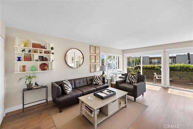 21703 Ocean Vista Dr Unit 102, Laguna Beach, CA 92651 - living area with wood-type flooring
