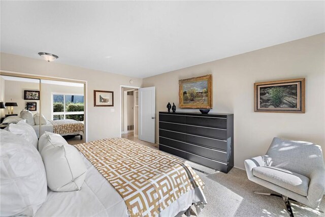 21703 Ocean Vista Dr Unit 102, Laguna Beach, CA 92651 - bedroom with light carpet and a closet