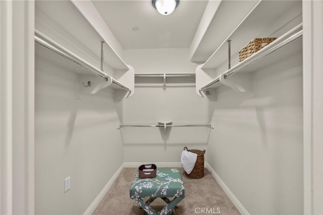 12044 Hoffman St Unit 204, Studio City, CA 91604 - walk in closet with carpet floors
