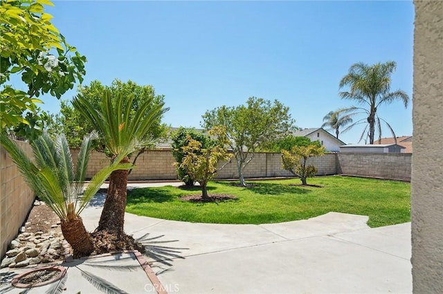 view of yard with a patio area