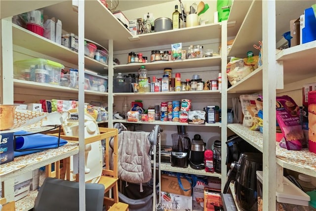 view of pantry