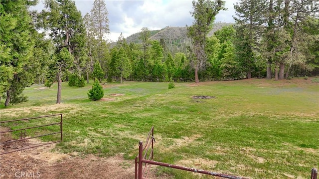 7072 Cranes Nest Rd, Mariposa, CA 95338 - view of yard with a mountain view and a view of trees