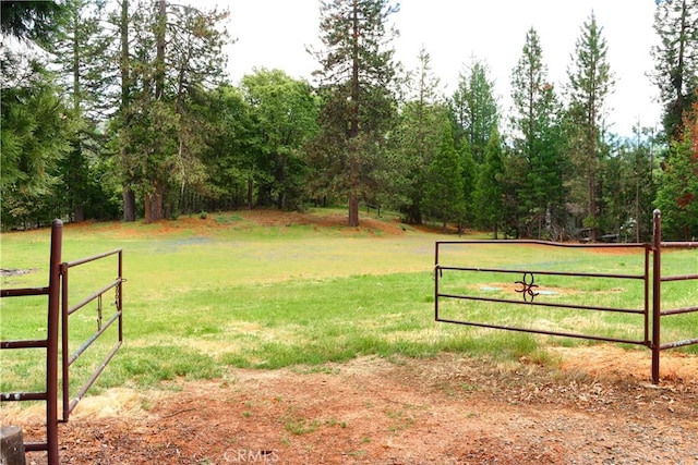 7072 Cranes Nest Rd, Mariposa, CA 95338 - view of yard featuring a gate, a view of countryside, and a forest view