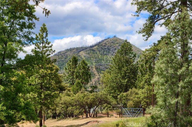 3820 Pinecrest Dr, Mariposa, CA 95338 - view of mountain background featuring a heavily wooded area