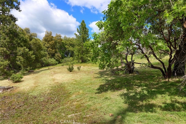 3820 Pinecrest Dr, Mariposa, CA 95338 - view of grassy yard