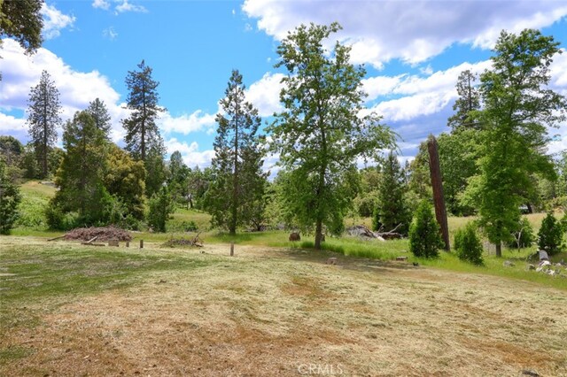 3820 Pinecrest Dr, Mariposa, CA 95338 - photo 34
