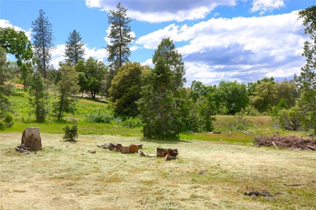 3820 Pinecrest Dr, Mariposa, CA 95338 - view of yard with a view of rural / pastoral area