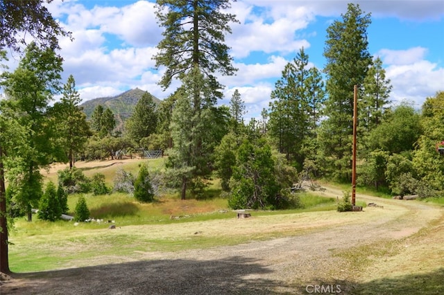 3820 Pinecrest Dr, Mariposa, CA 95338 - view of yard with a mountain view