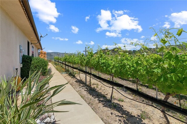 15450 Bandy Canyon Rd, Escondido, CA 92025 - photo 32