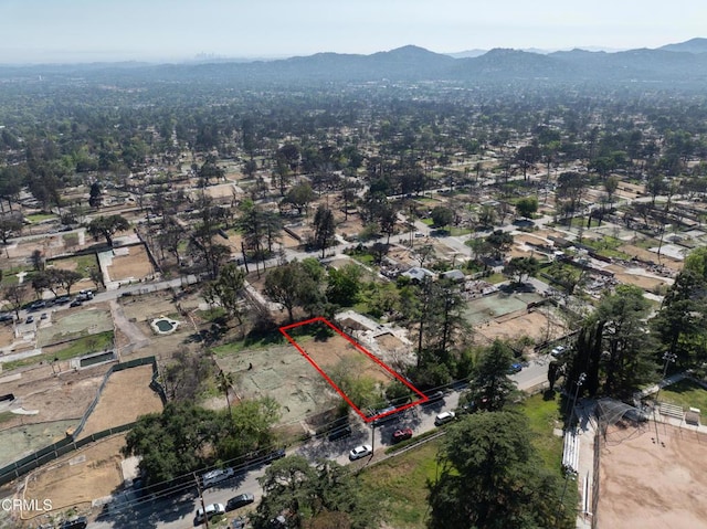 608 Concha St, Altadena, CA 91001