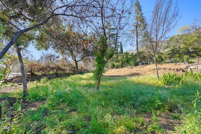 608 Concha St, Altadena, CA 91001