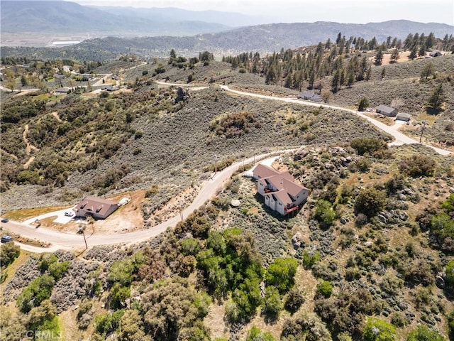 bird's eye view of a mountainous background