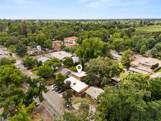 1825 Magnolia Ave, Chico, CA 95926 - aerial view of a forest