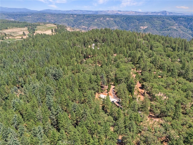 4901 Papaya Rd, Forest Ranch, CA 95942 - drone / aerial view of a forest and mountains
