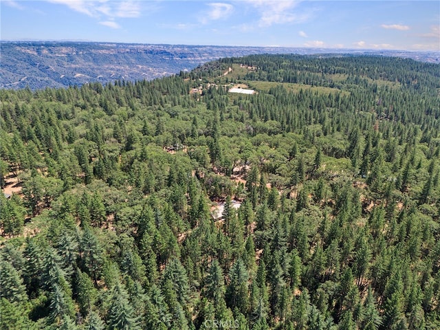 4901 Papaya Rd, Forest Ranch, CA 95942 - view of property location with a forest and a mountainous background