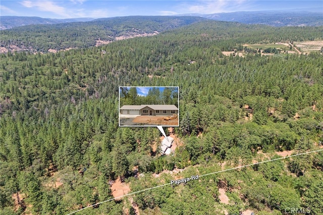 4901 Papaya Rd, Forest Ranch, CA 95942 - aerial overview of property's location featuring a heavily wooded area, property parcel outlined, and mountains