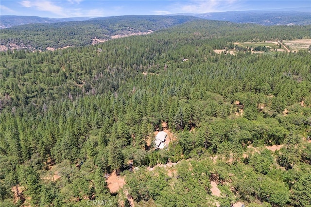 4901 Papaya Rd, Forest Ranch, CA 95942 - aerial view of property's location featuring a forest and a mountain backdrop