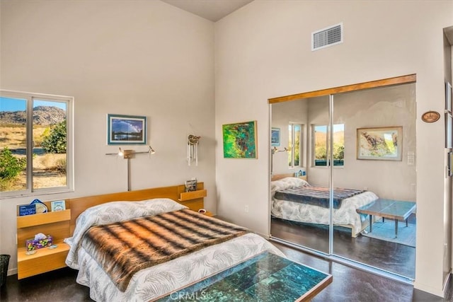 bedroom featuring high vaulted ceiling, multiple windows, and a closet