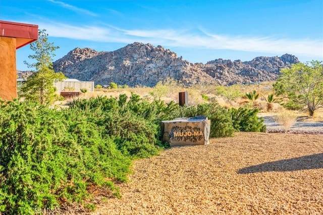 7078 Sunkist Rd, Joshua Tree, CA 92252 - mountain view