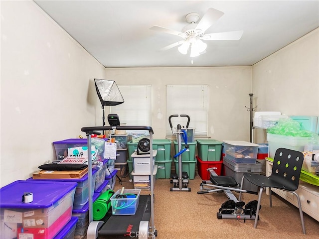 137 N Rose St, Burbank, CA 91505 - storage with a ceiling fan