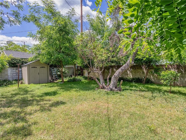 137 N Rose St, Burbank, CA 91505 - view of yard featuring a storage shed and an outdoor structure