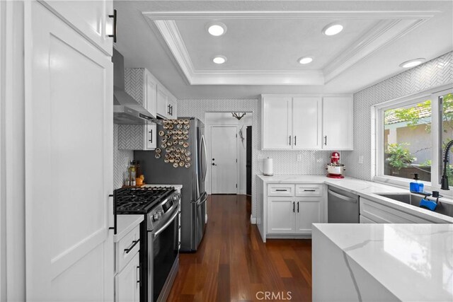 15 Vittoria St, Laguna Niguel, CA 92677 - kitchen featuring appliances with stainless steel finishes, a sink, wall chimney range hood, dark wood-style flooring, and a raised ceiling