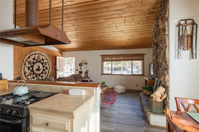 448 Quail Dr, Big Bear Lake, CA 92315 - photo 18