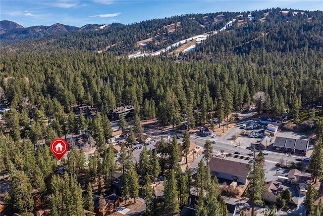448 Quail Dr, Big Bear Lake, CA 92315 - photo 6