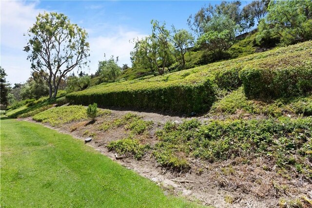 23622 Wakefield Ct Unit 69, Laguna Niguel, CA 92677 - view of grassy yard