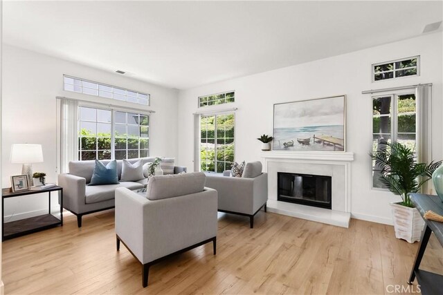 23622 Wakefield Ct Unit 69, Laguna Niguel, CA 92677 - living room featuring light wood-type flooring and a glass covered fireplace