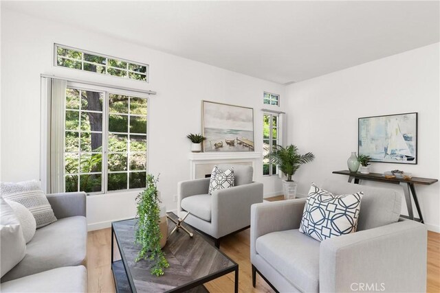 23622 Wakefield Ct Unit 69, Laguna Niguel, CA 92677 - living room with light wood-style floors