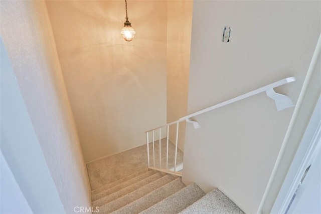 staircase with carpet