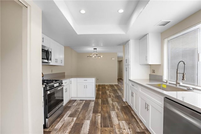 845 Daffodil Dr, Riverside, CA 92507 - kitchen featuring appliances with stainless steel finishes, a raised ceiling, a sink, dark wood finished floors, and light countertops