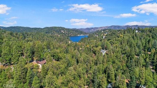25172 Moon Dr, Crestline, CA 92325 - photo 27