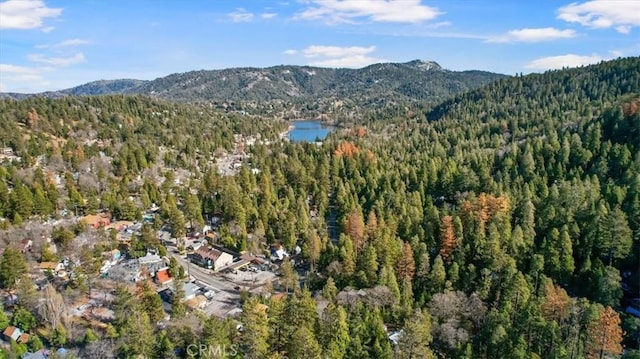 25172 Moon Dr, Crestline, CA 92325 - photo 26
