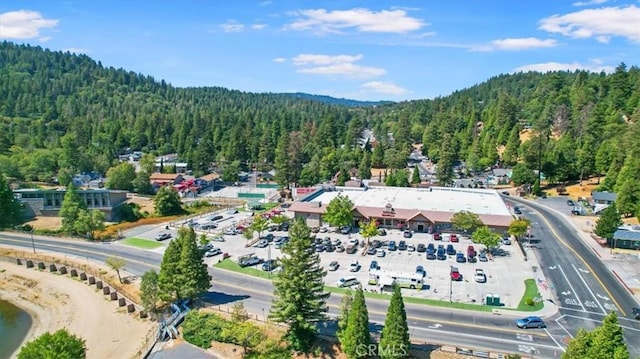25172 Moon Dr, Crestline, CA 92325 - photo 28
