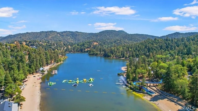 25172 Moon Dr, Crestline, CA 92325 - photo 29